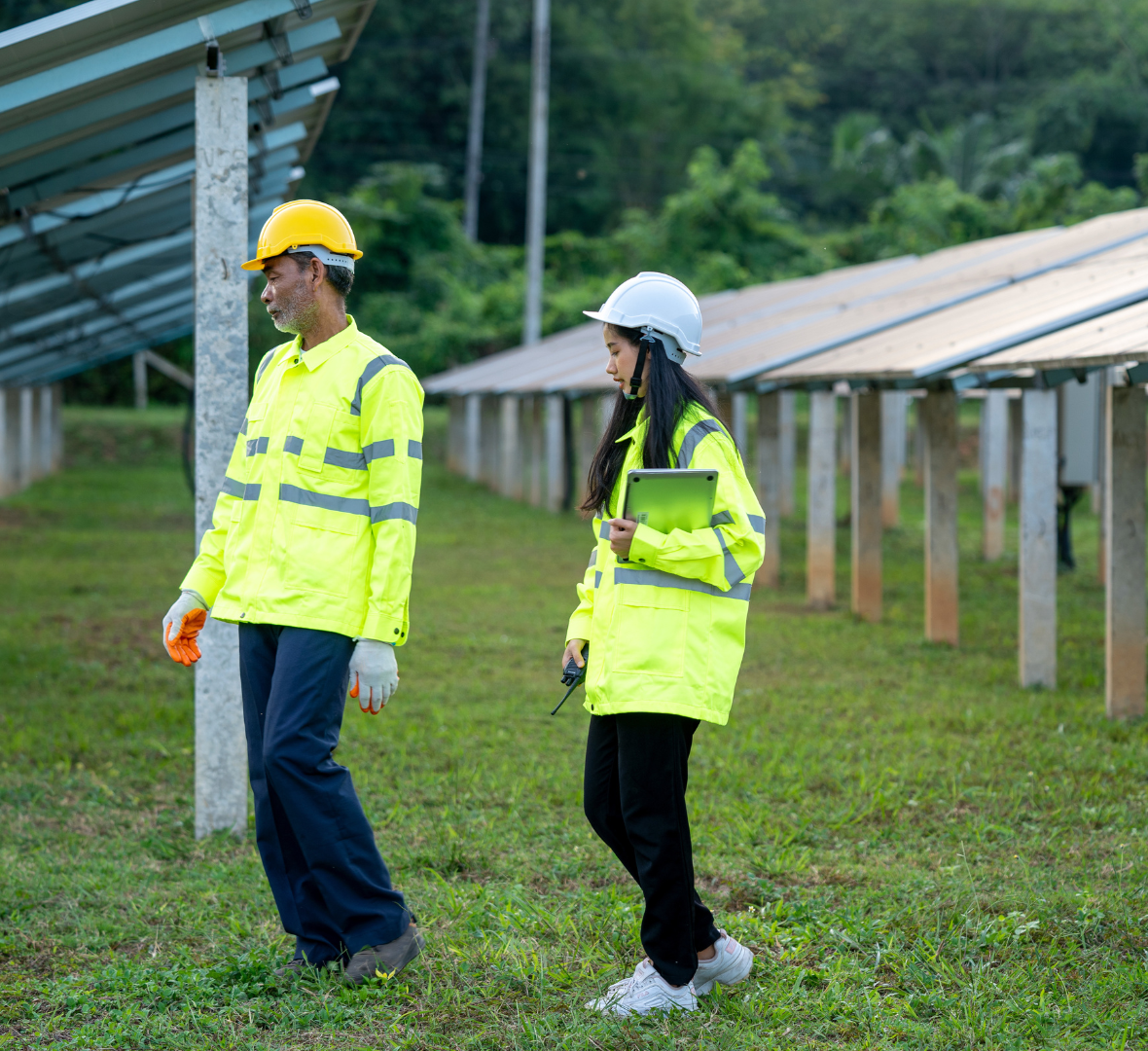 Engineering-recruitment-experience-solar-plant